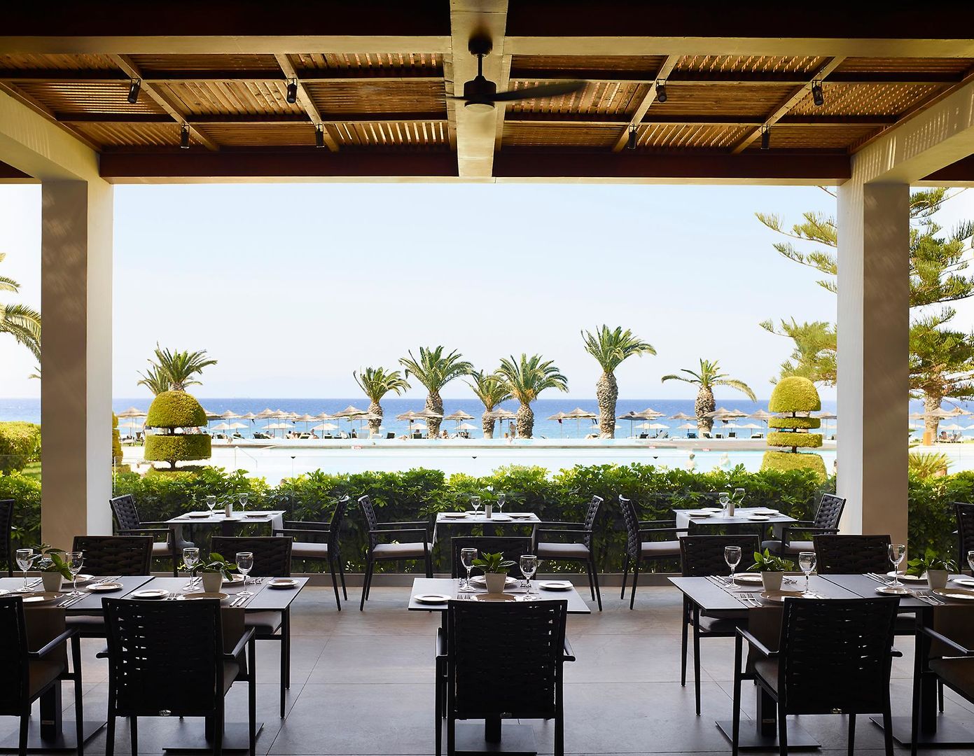 The Ixian Grand & All Suites foto 38
