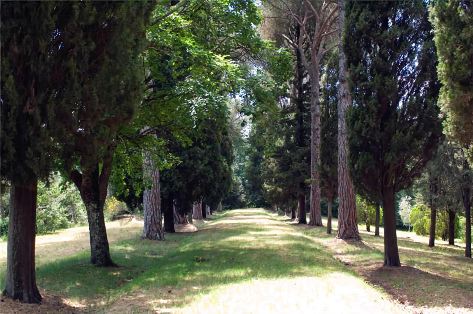 Il Patriarca foto 15