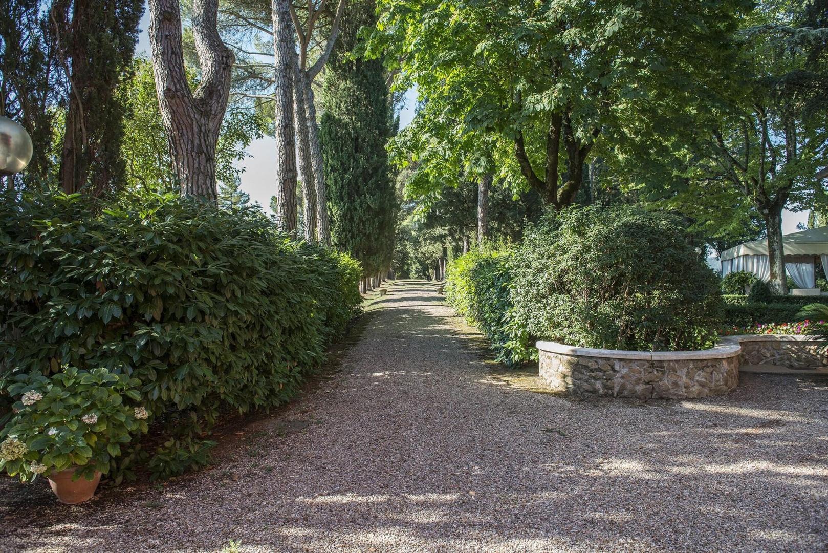 Il Patriarca foto 41