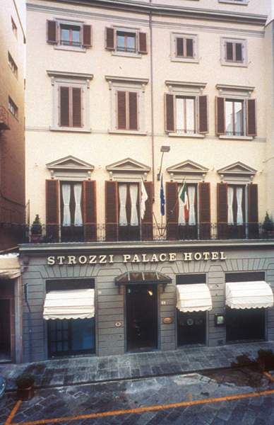 Strozzi Palace image 1