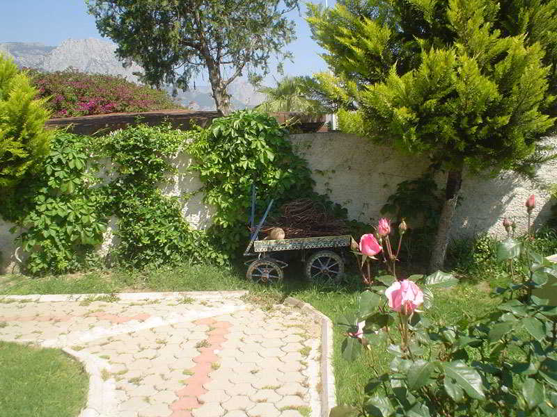 Minta Apart Hotel foto 11