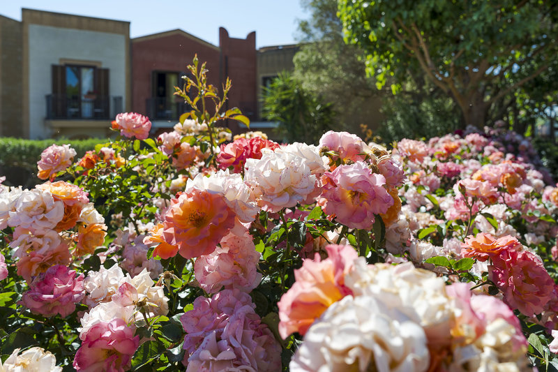 Baglio Oneto dei Principi di San Lorenzo - Luxury Wine Resort foto 76