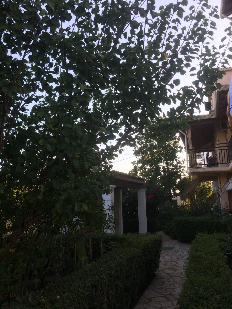 Villa Nefeli foto 13