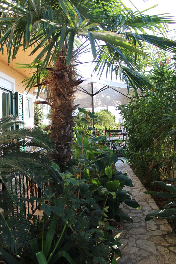 Villa Nefeli foto 9