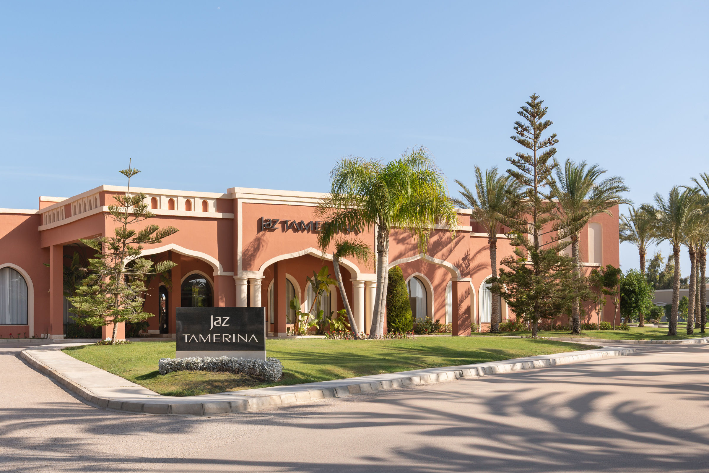 Jaz Tamerina image 2