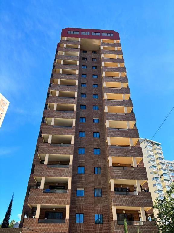 Don Gregorio Apartmentos foto 7