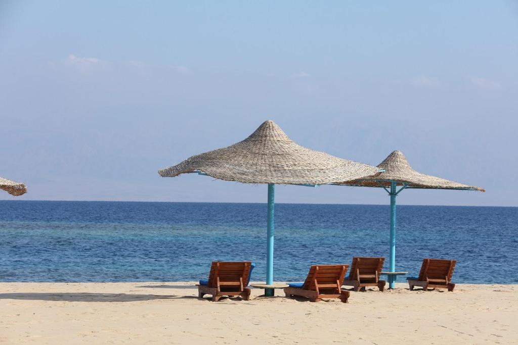 Nuweiba Club Resort foto 9