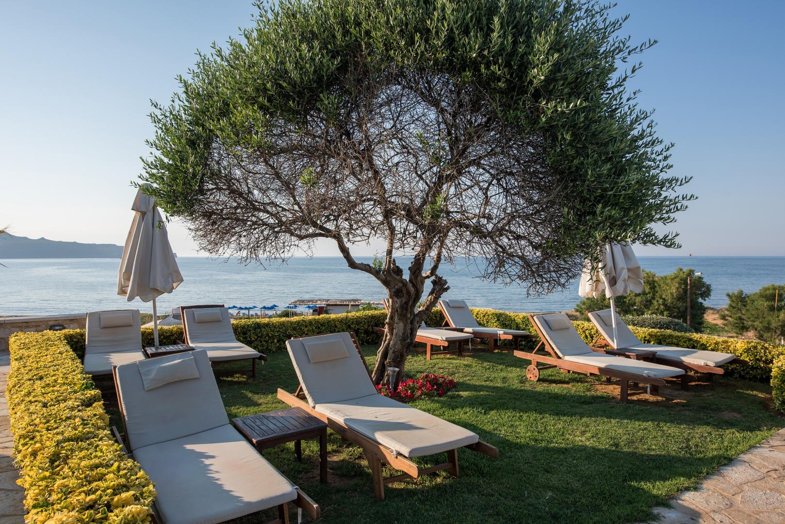 Cretan Dream Resort & Spa foto 26