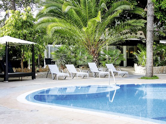 Palmeras Garden foto 4