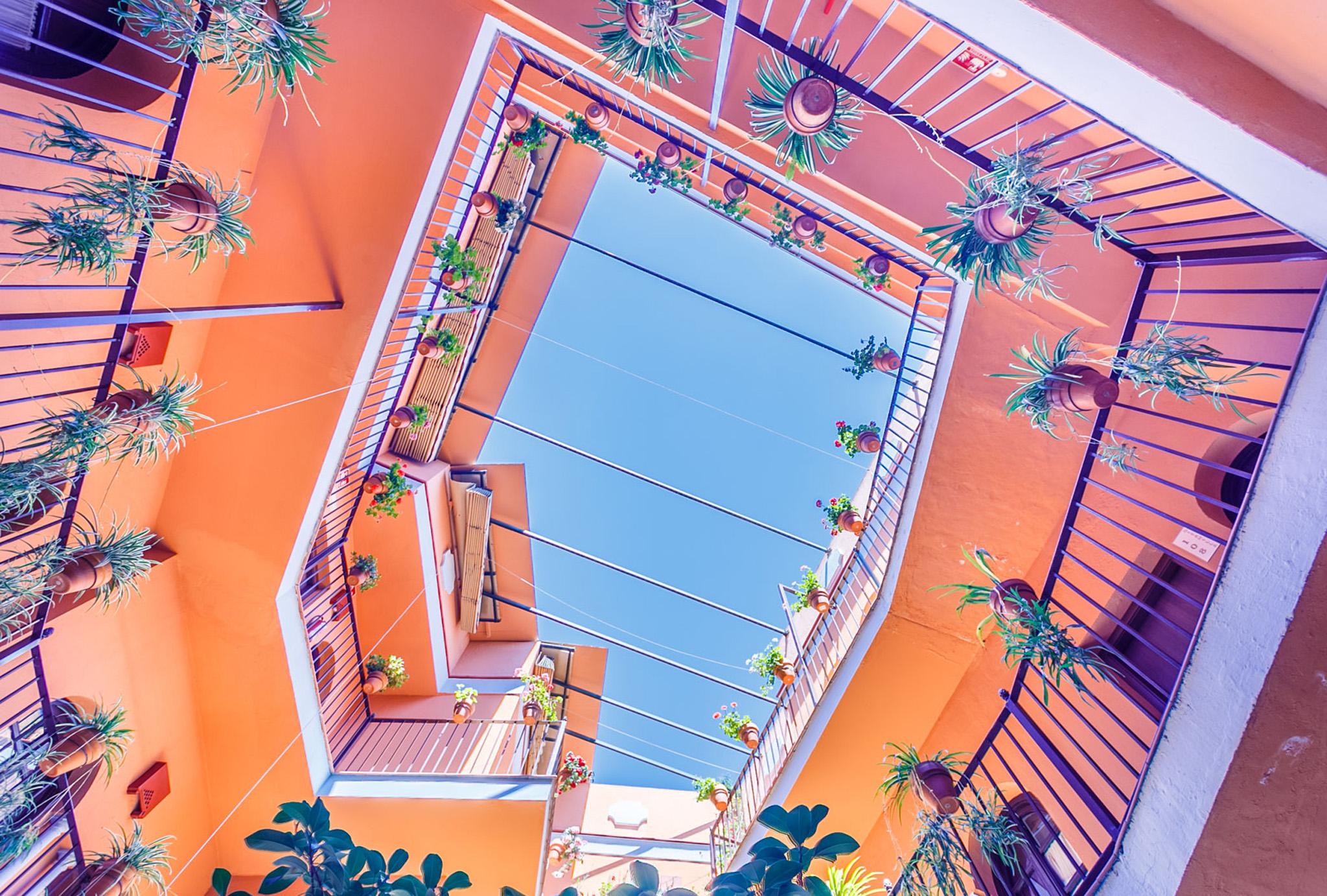 Hotel Patio de la Alameda image 3