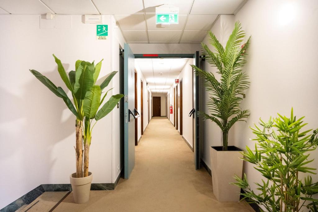 Camelia Rooms foto 8