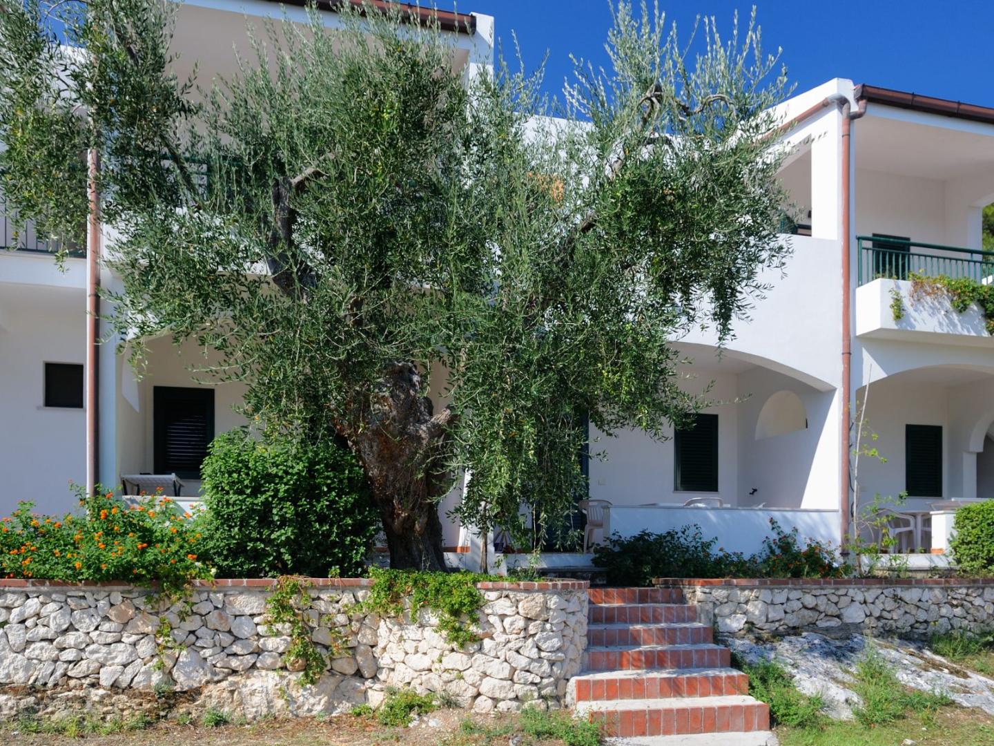 Baia degli Aranci image 1