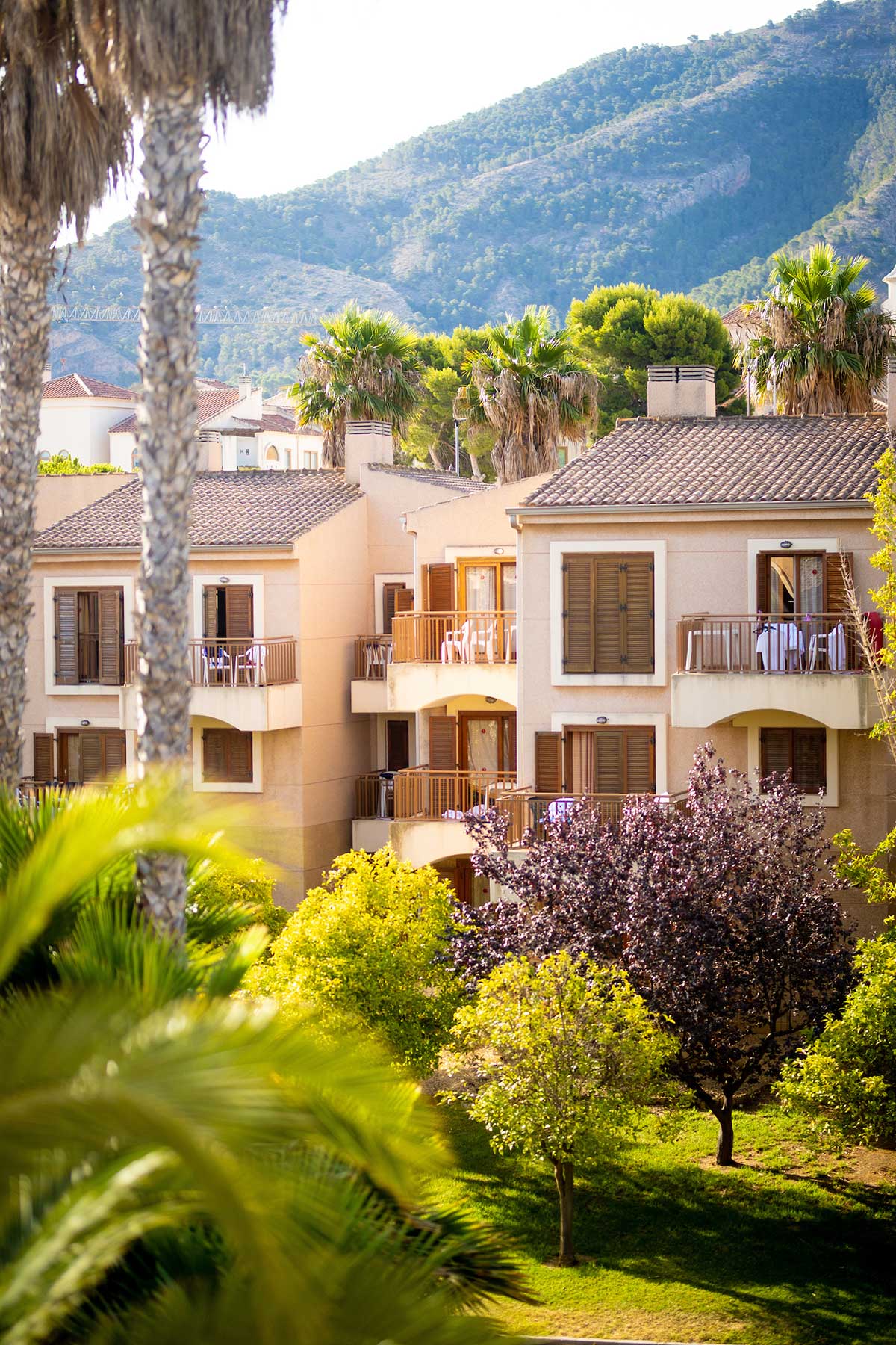 Albir Garden Resort & Aqua Park foto 17