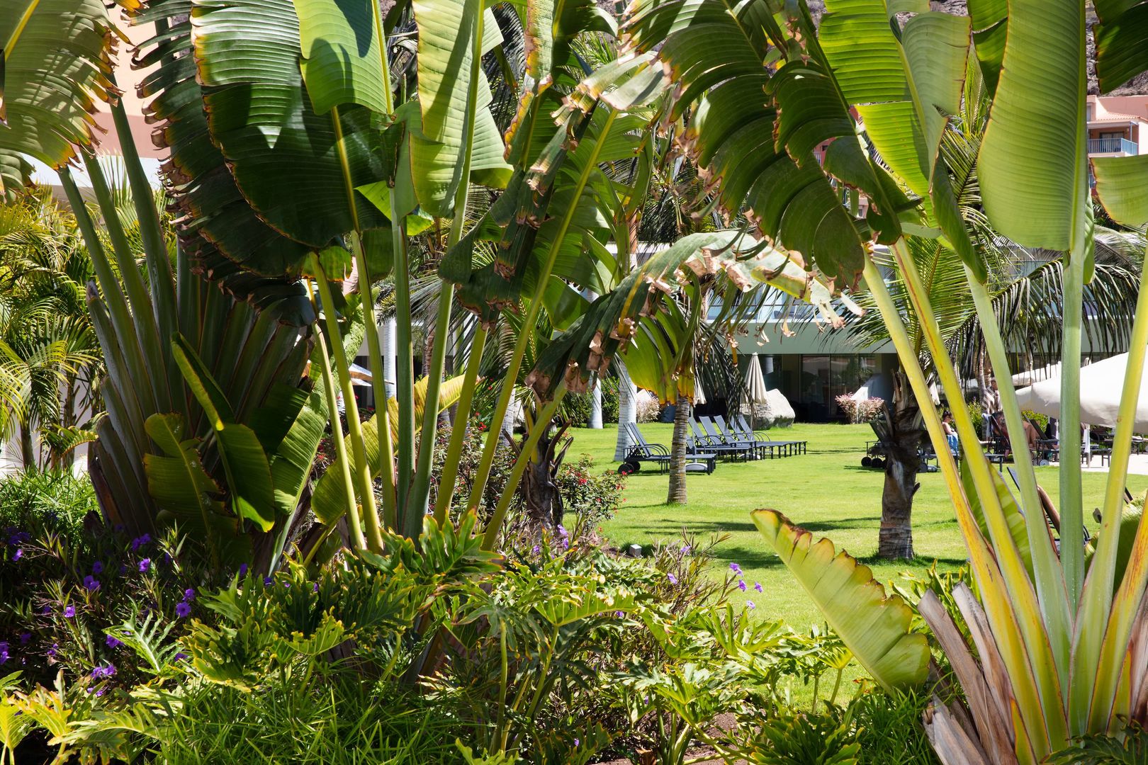 Radisson Blu Resort & Spa, Gran Canaria Mogan foto 28