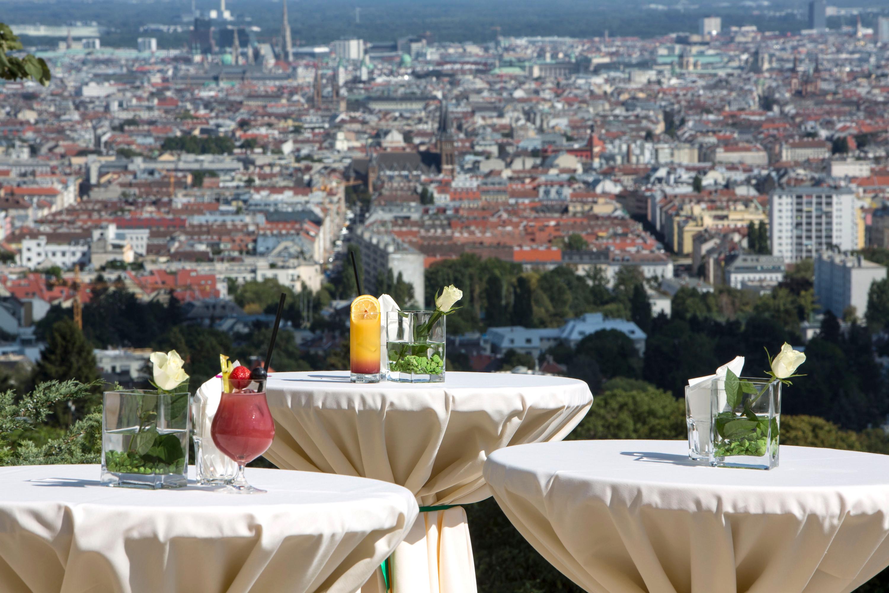 Austria Trend Hotel Schloss Wilhelminenberg foto 12