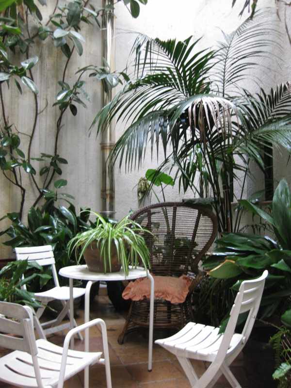 Hotel Casa Mas image 3