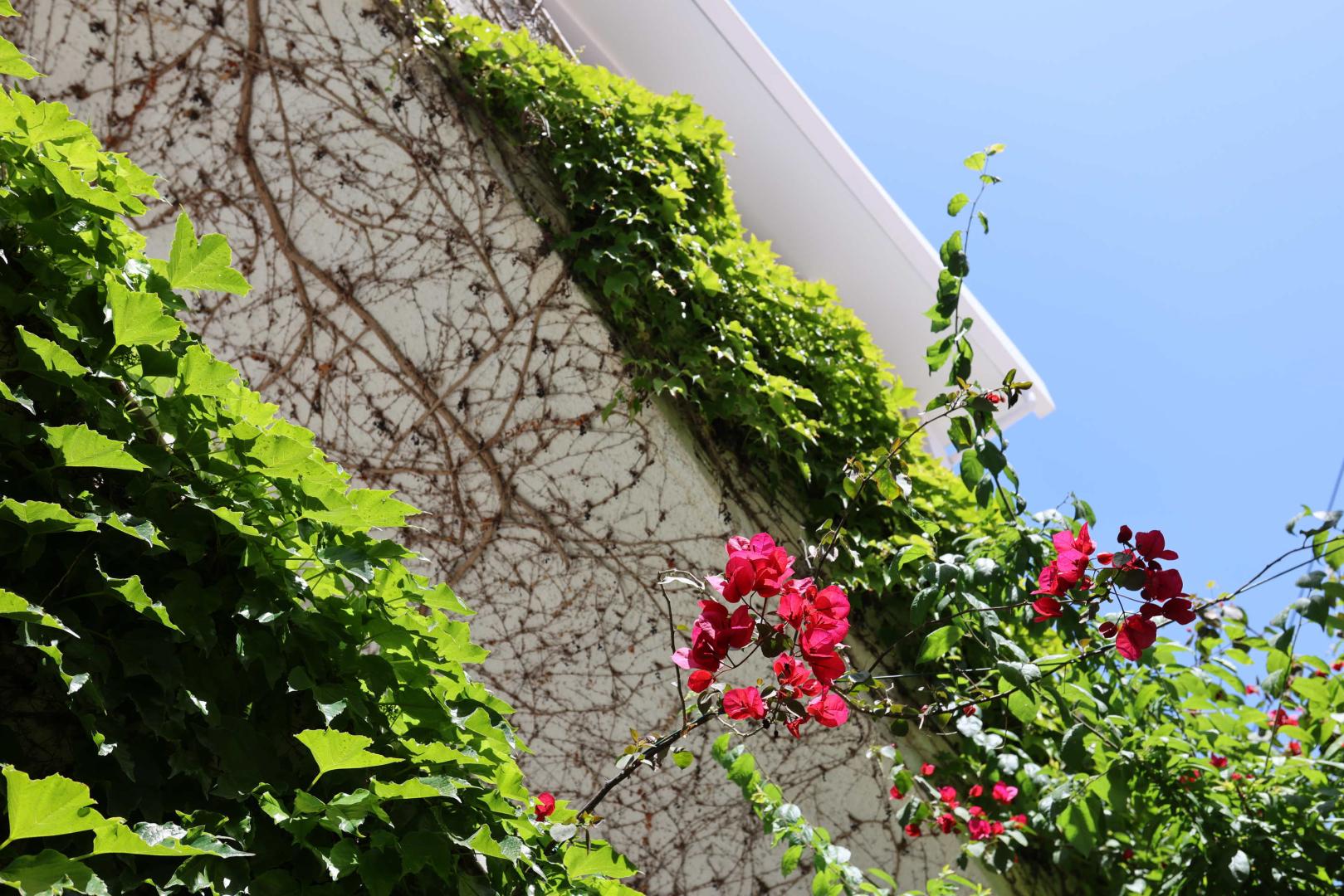 Olympic Kosmas Hotel foto 19