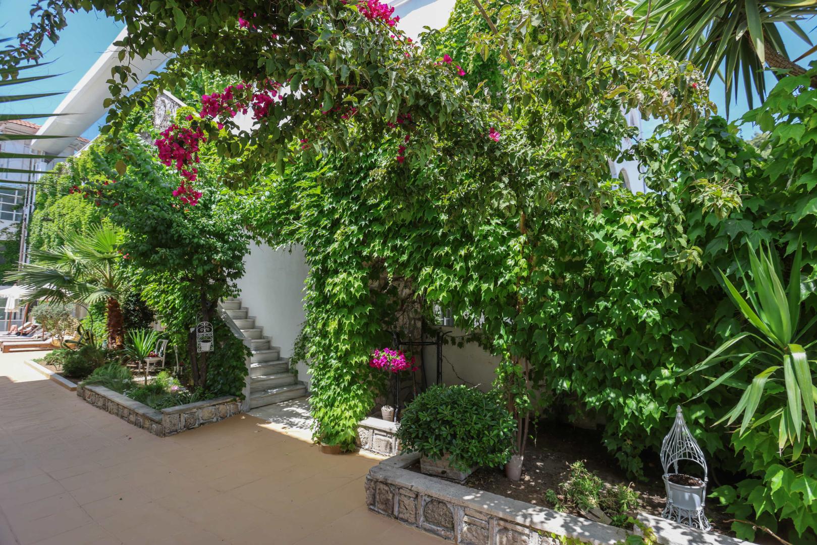 Olympic Kosmas Hotel foto 26