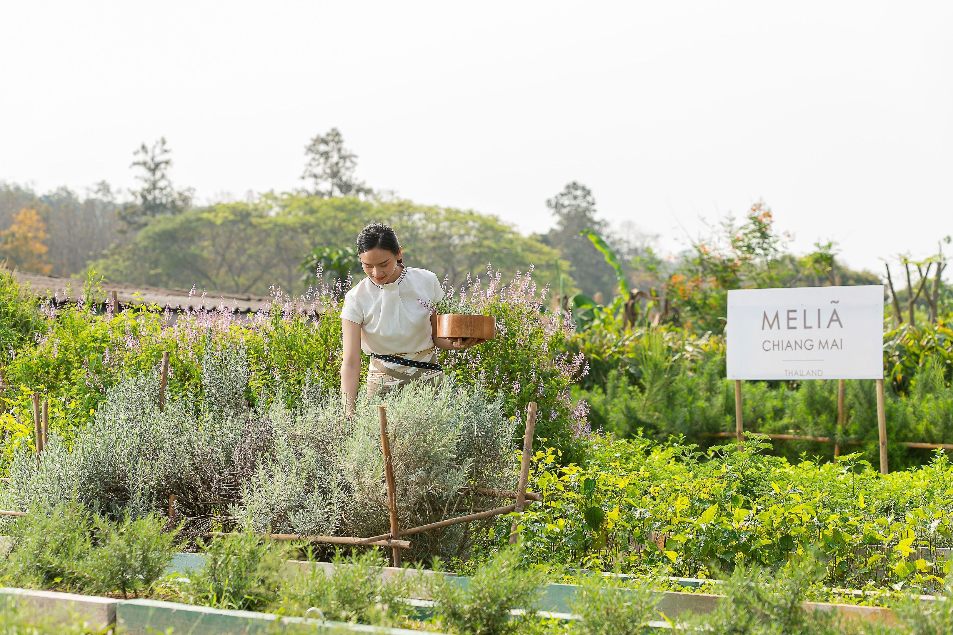 Meliá Chiang Mai foto 177