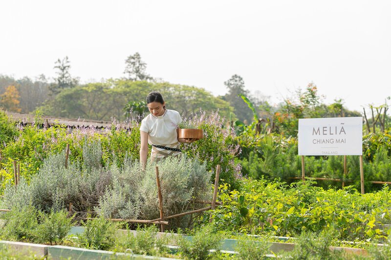 Meliá Chiang Mai foto 175