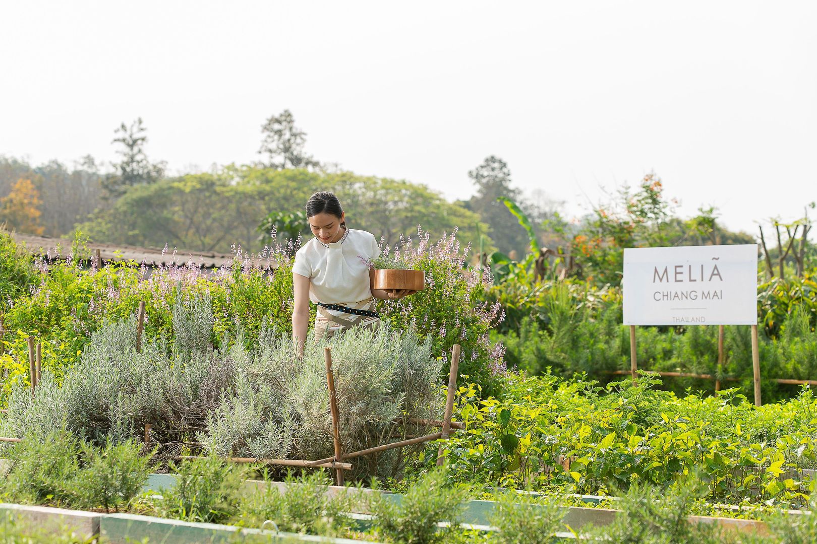 Meliá Chiang Mai foto 176
