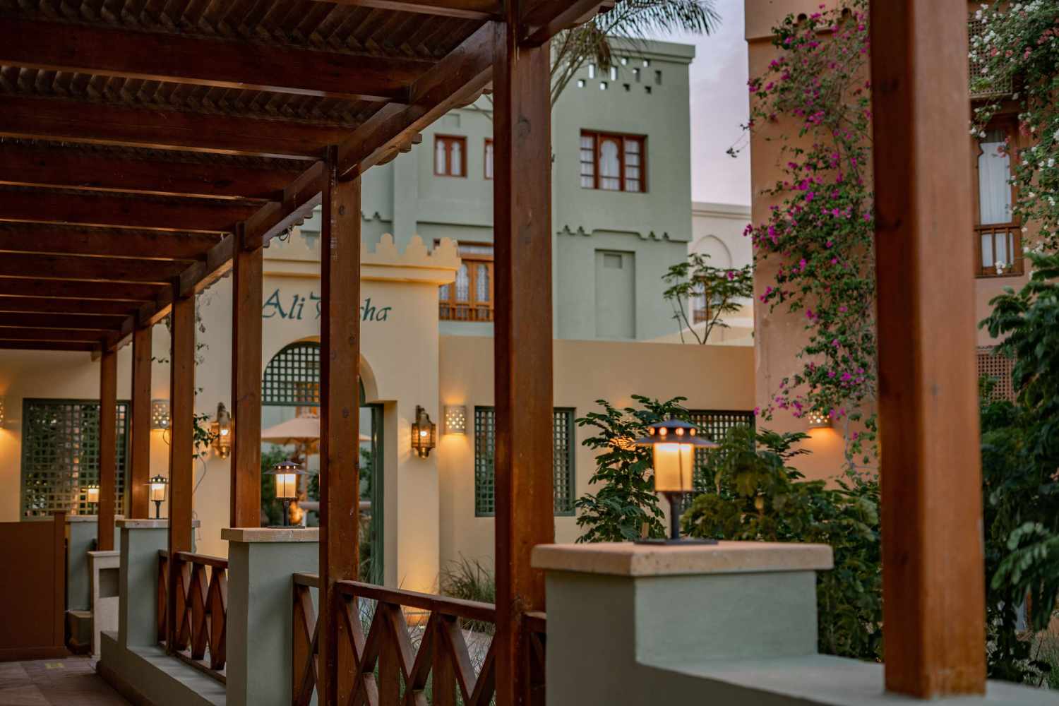 Ali Pasha Hotel foto 19