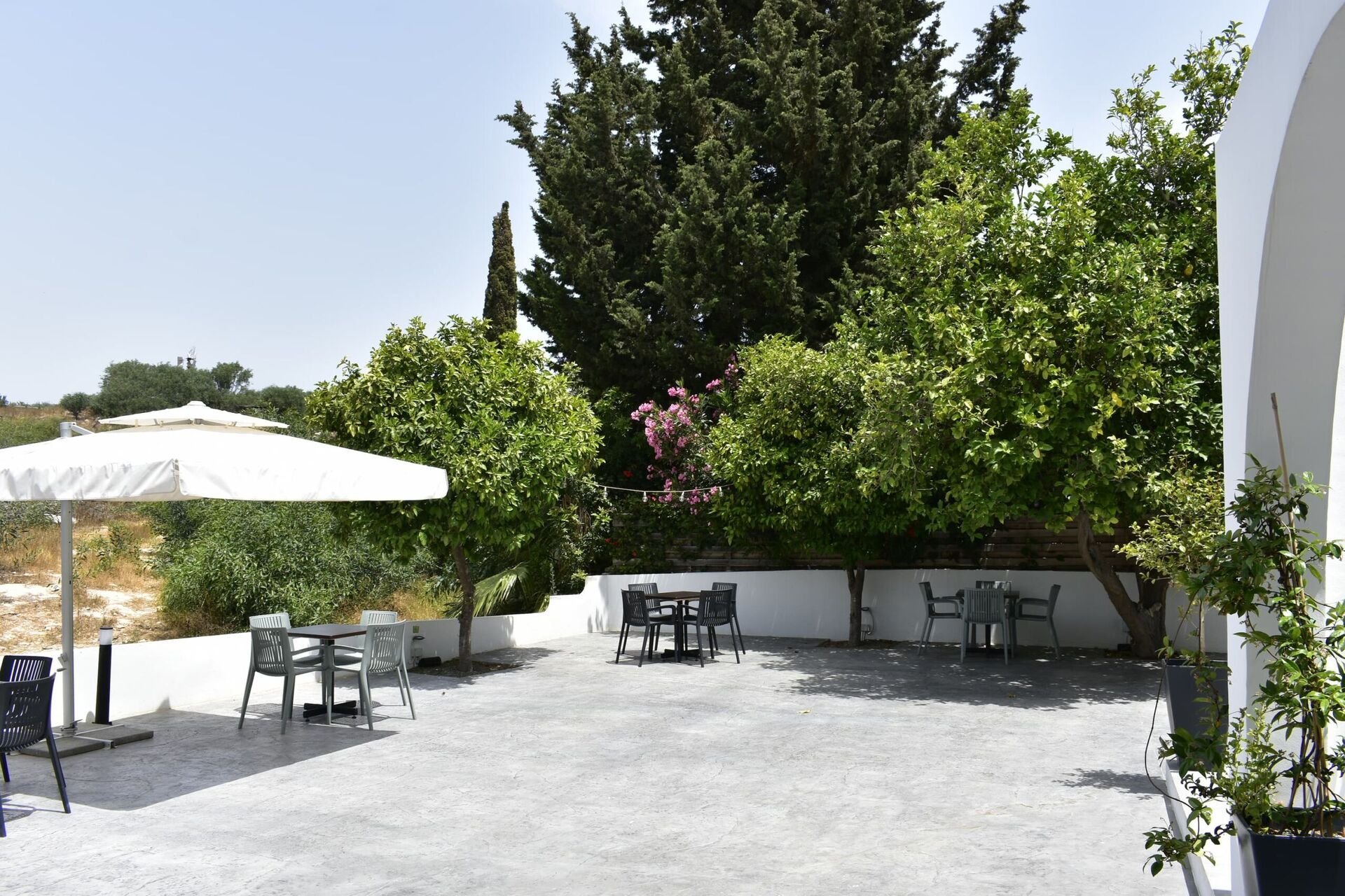 Zoi Ayia Napa Hotel foto 23