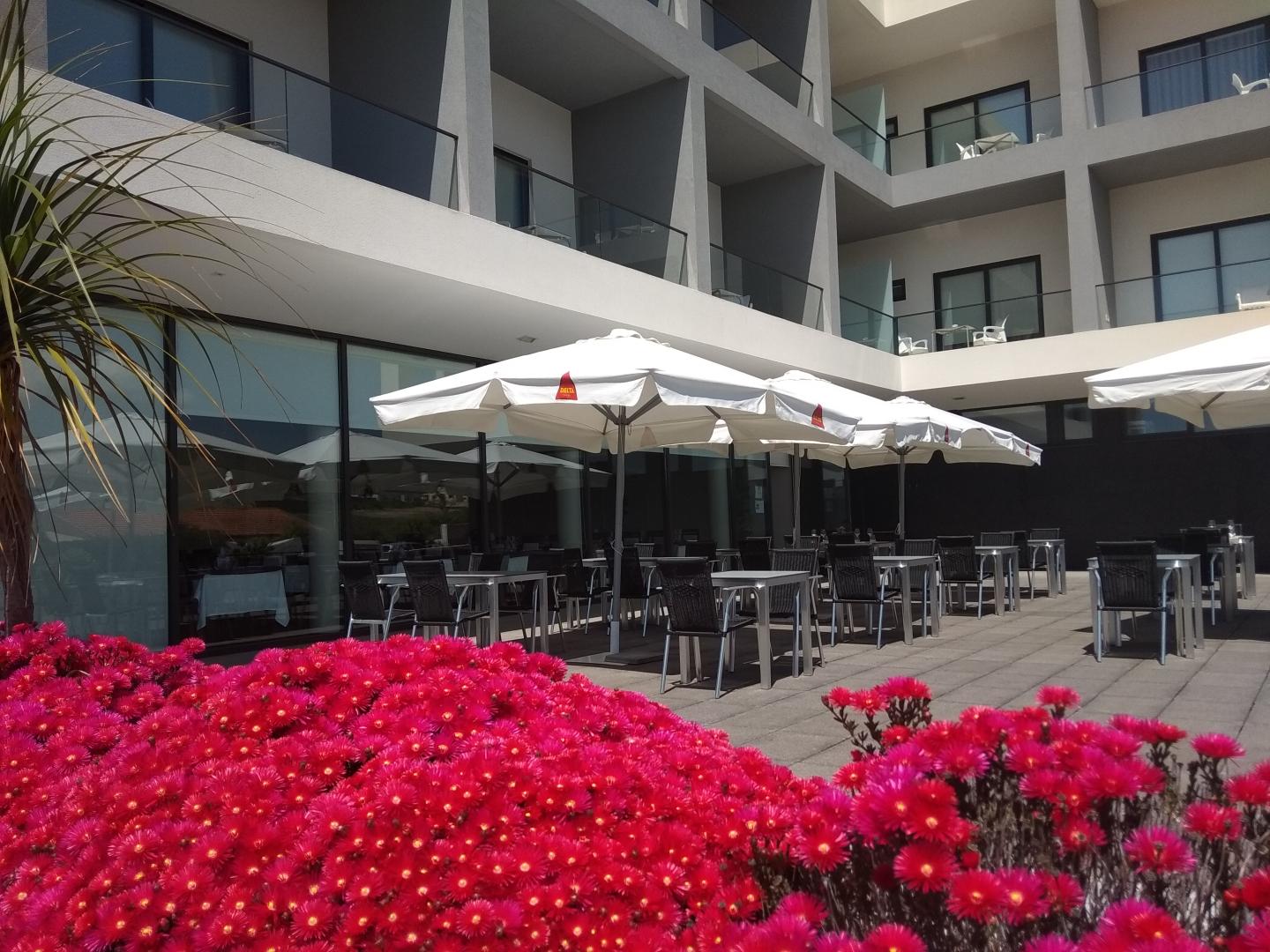 Monte Lirio Hotel foto 12