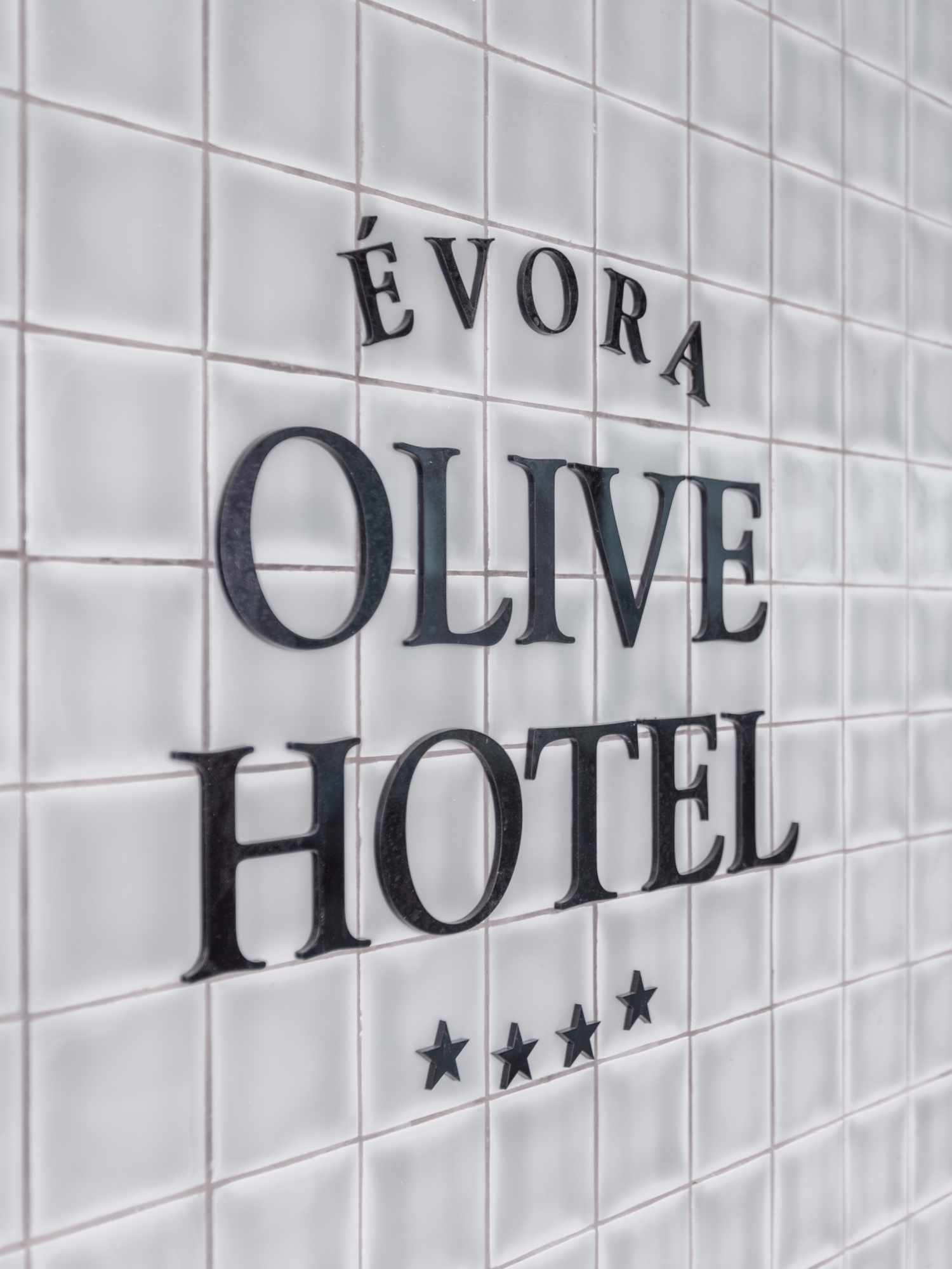 Évora Olive Hotel foto 14