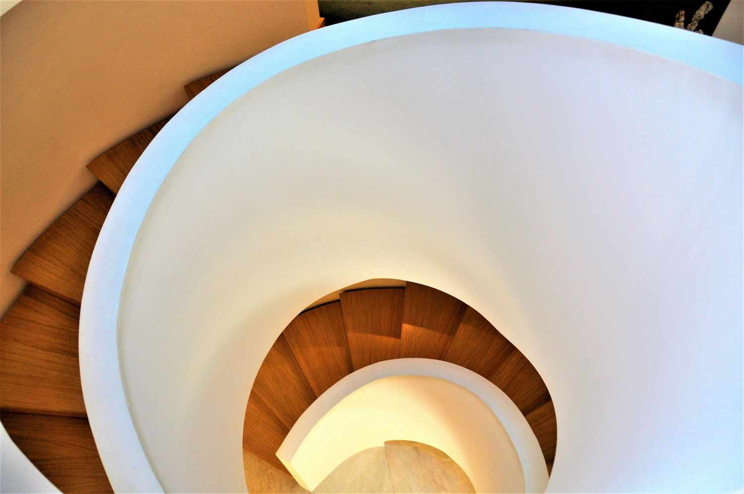 Évora Olive Hotel foto 16