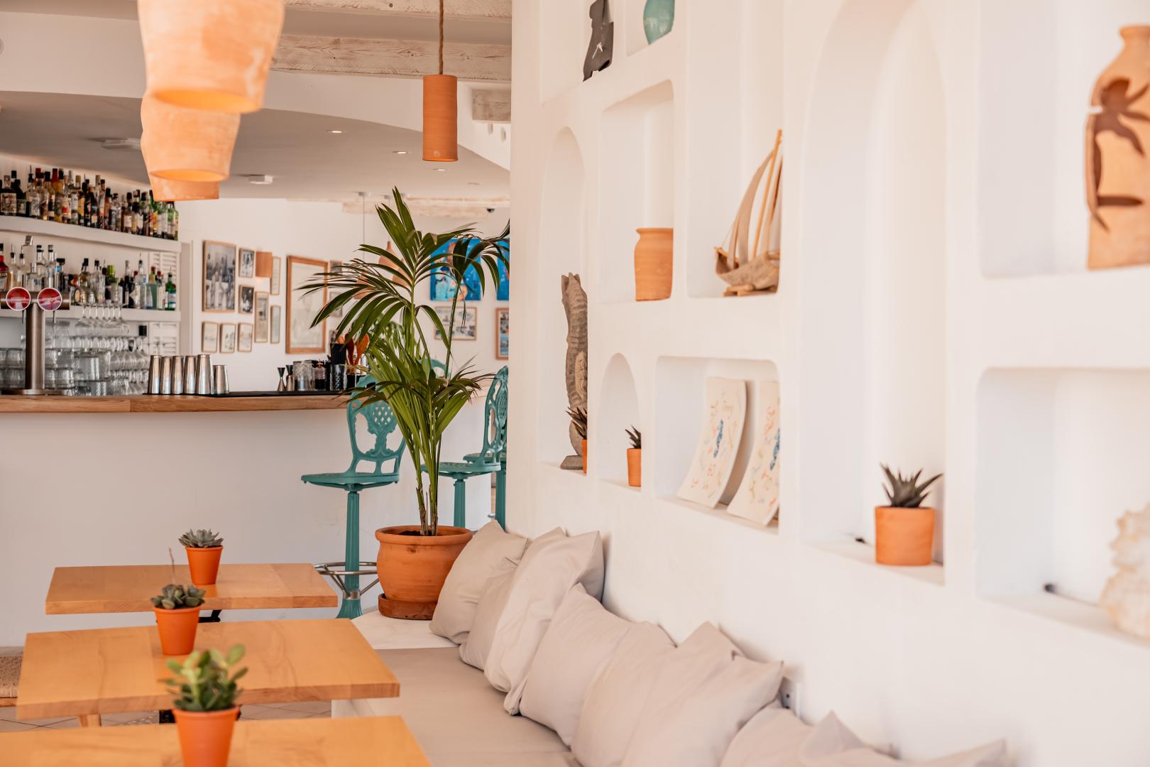 Tropische tuin met palmbomen — The Sea Club