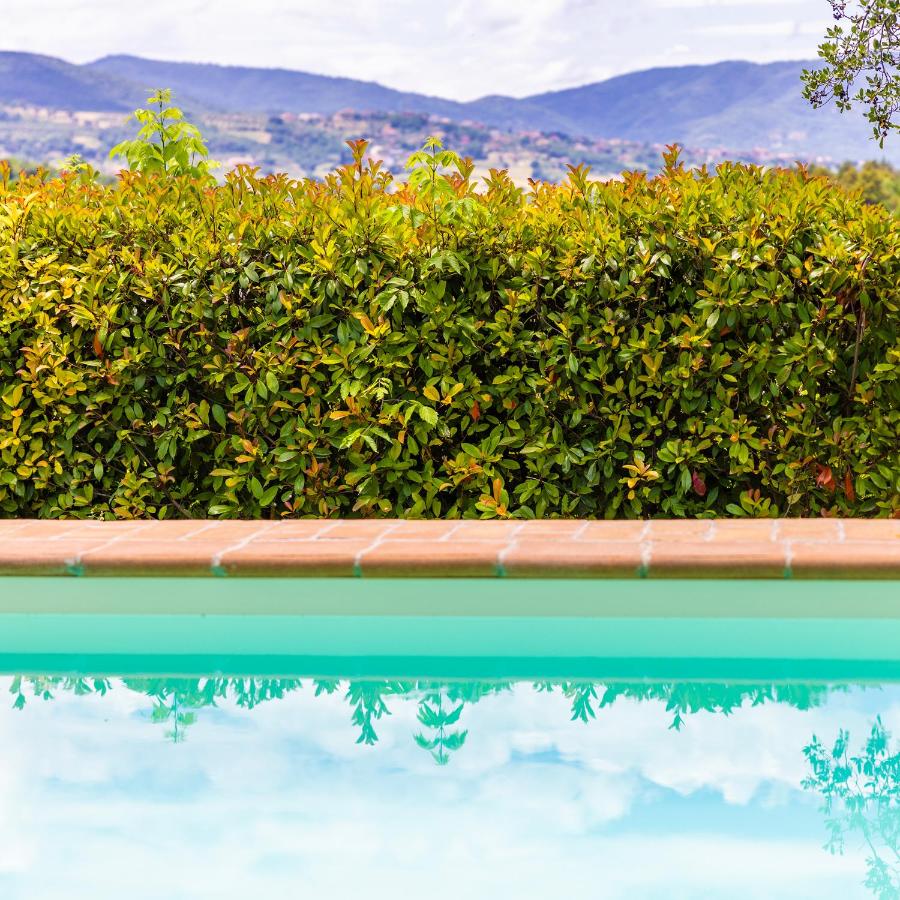 een heg naast een zwembad met zijn weerspiegeling in het water bij Un Petit Paradis in Castiglione della Valle
