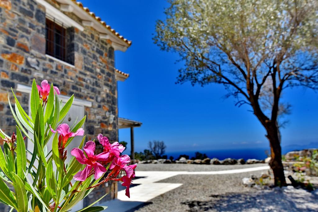 Palazzo Greco Villas foto 12
