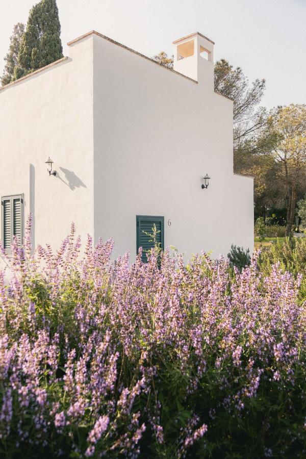 een wit gebouw met paarse bloemen ervoor bij Tenuta Doxi in Gallipoli