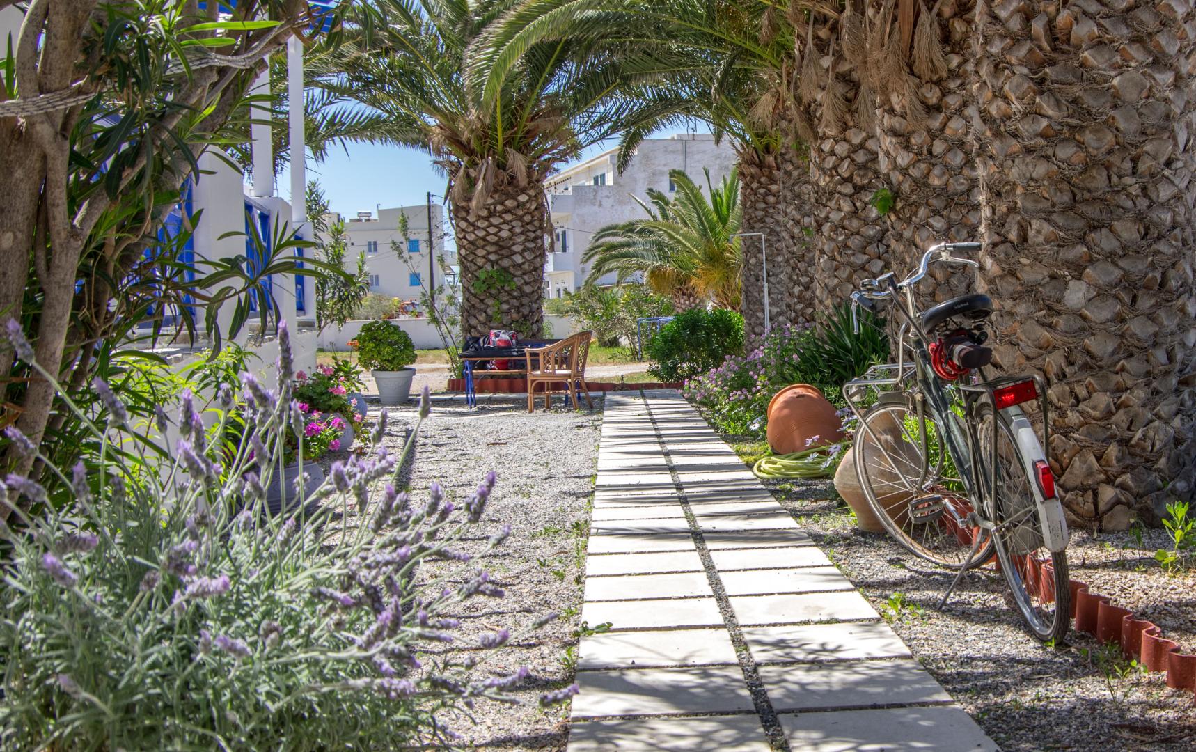 Syros Atlantis Hotel foto 19