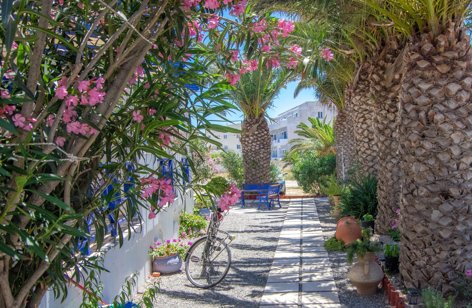 Syros Atlantis Hotel foto 22
