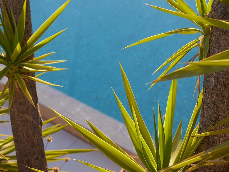 The Roc Club, A Grecotel Hotel to Live foto 79