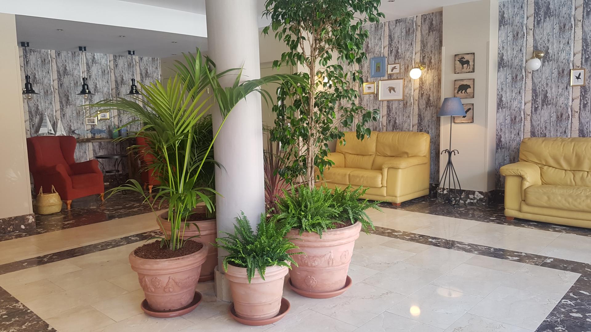 Hotel Villaviciosa foto 10
