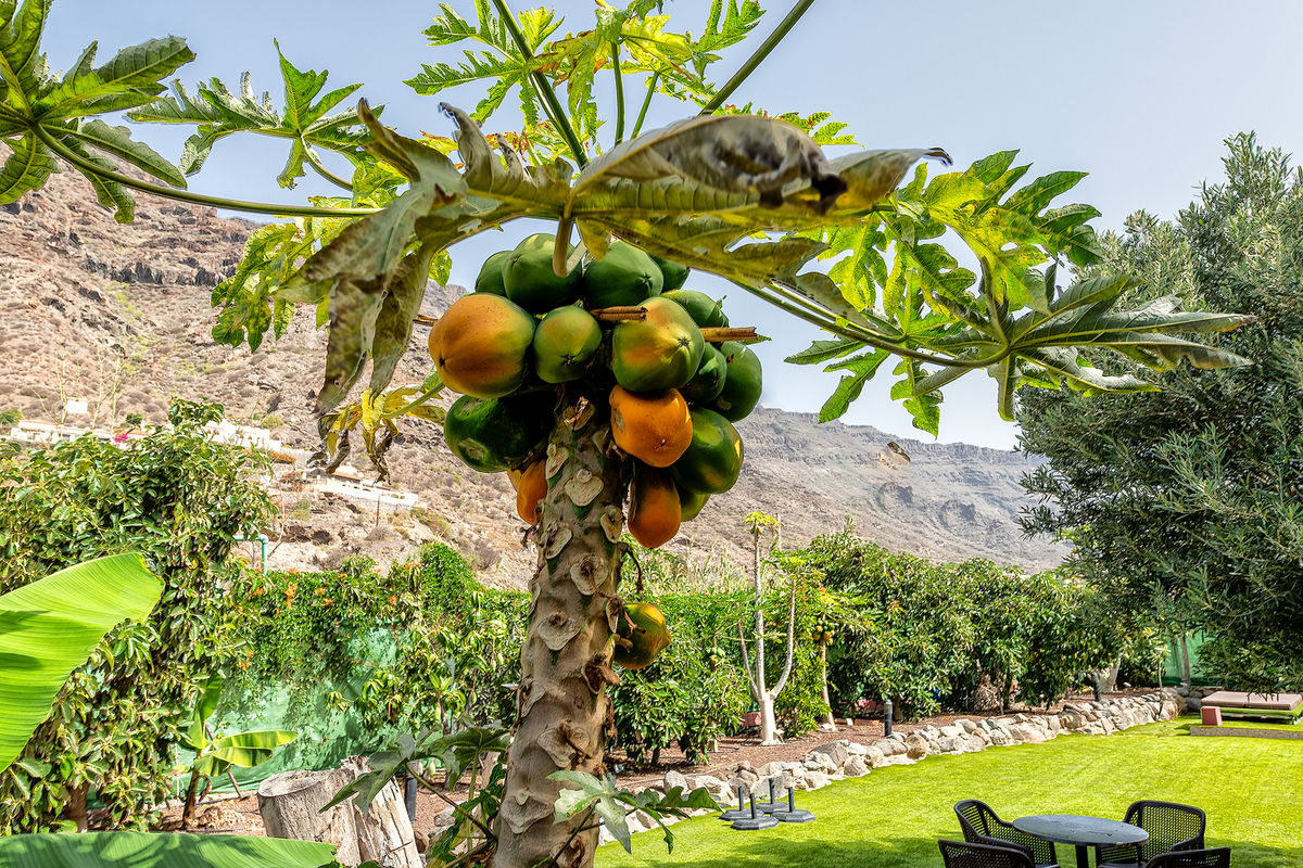 Sol Mogan Suites image 1