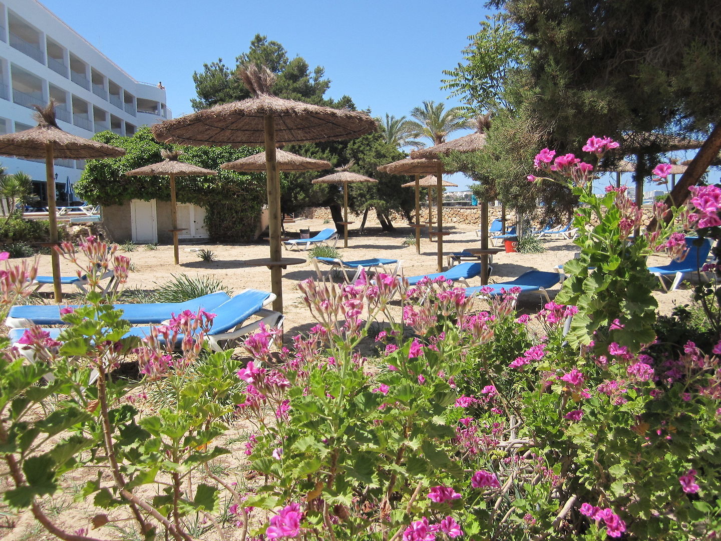 Hotel Ses Savines foto 17