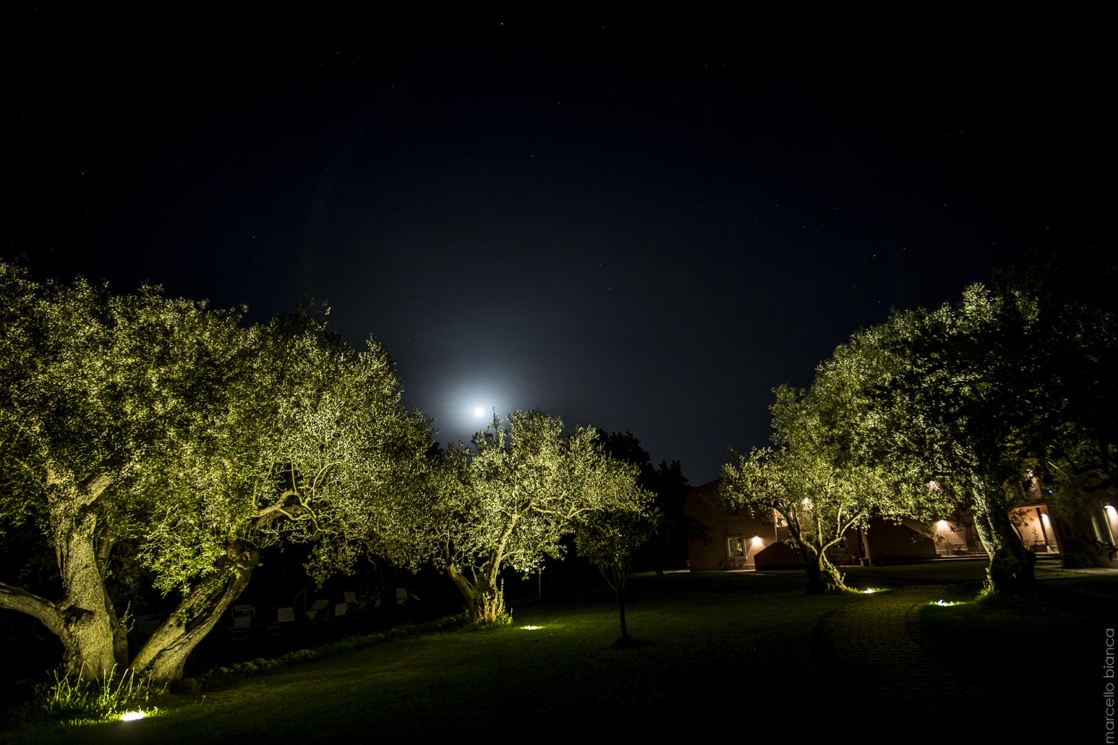 Masseria degli Ulivi foto 48