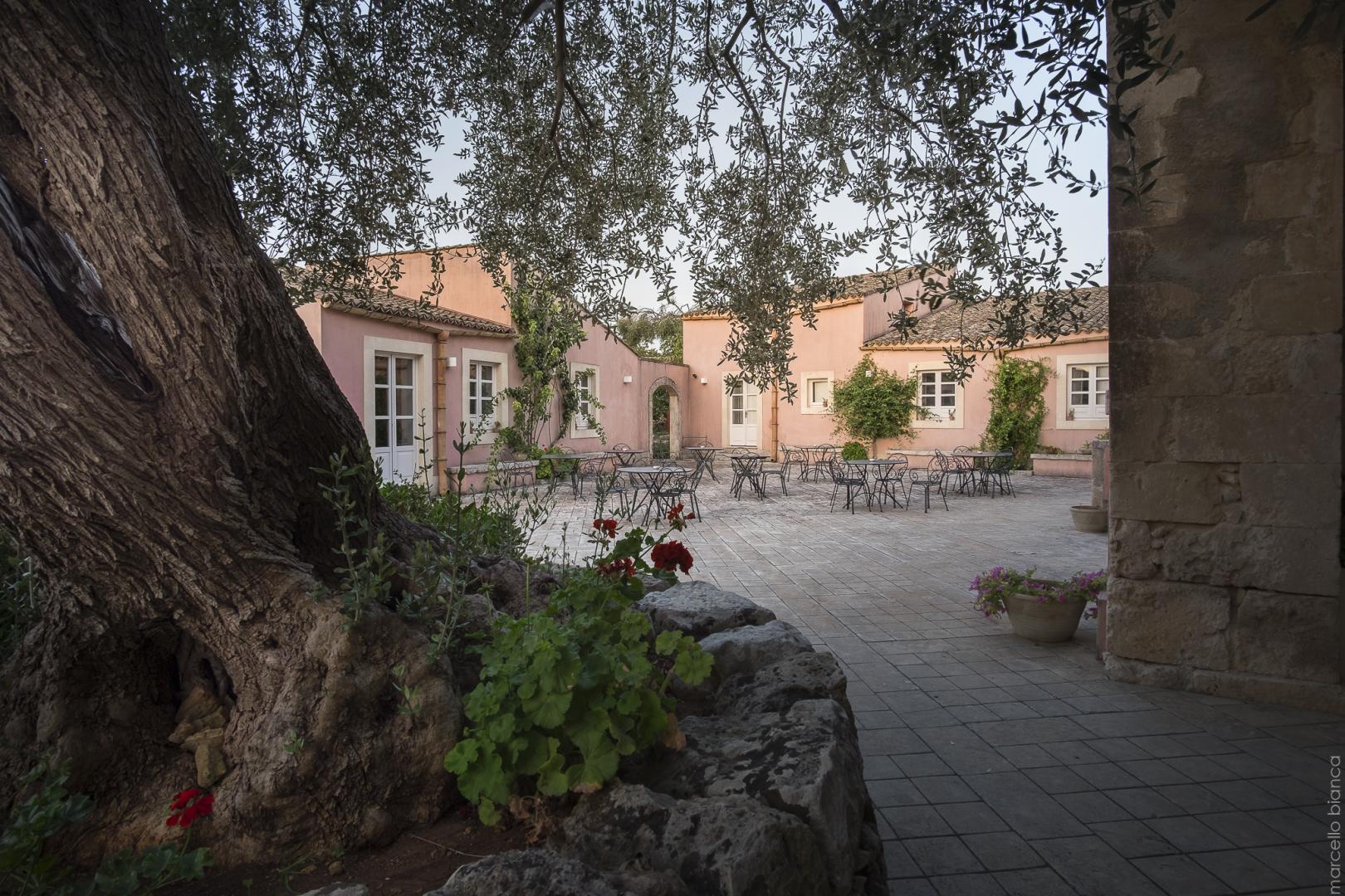 Masseria degli Ulivi foto 24