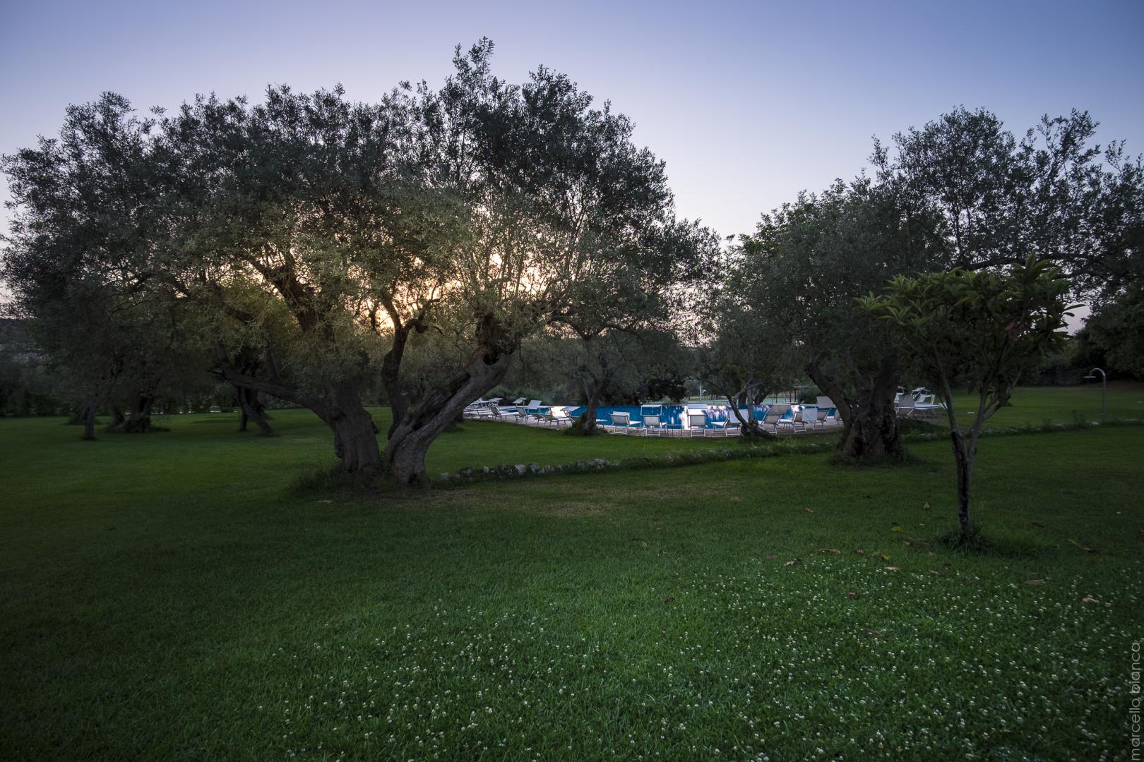 Masseria degli Ulivi foto 29
