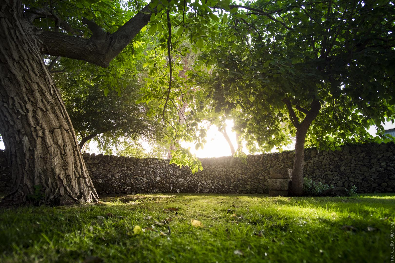 Masseria degli Ulivi foto 38