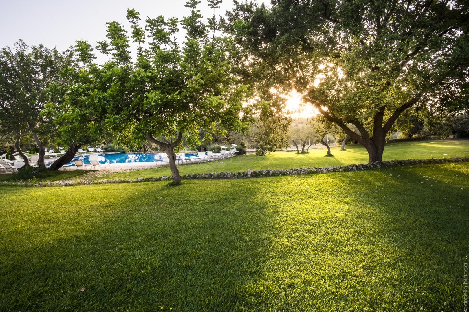 Masseria degli Ulivi foto 16