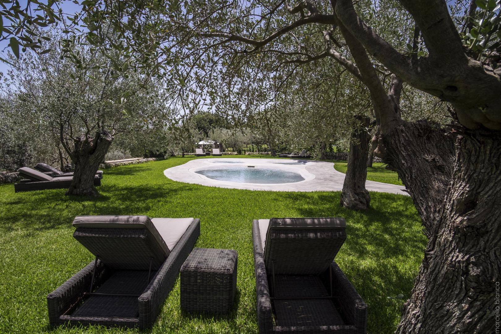 Masseria degli Ulivi foto 15