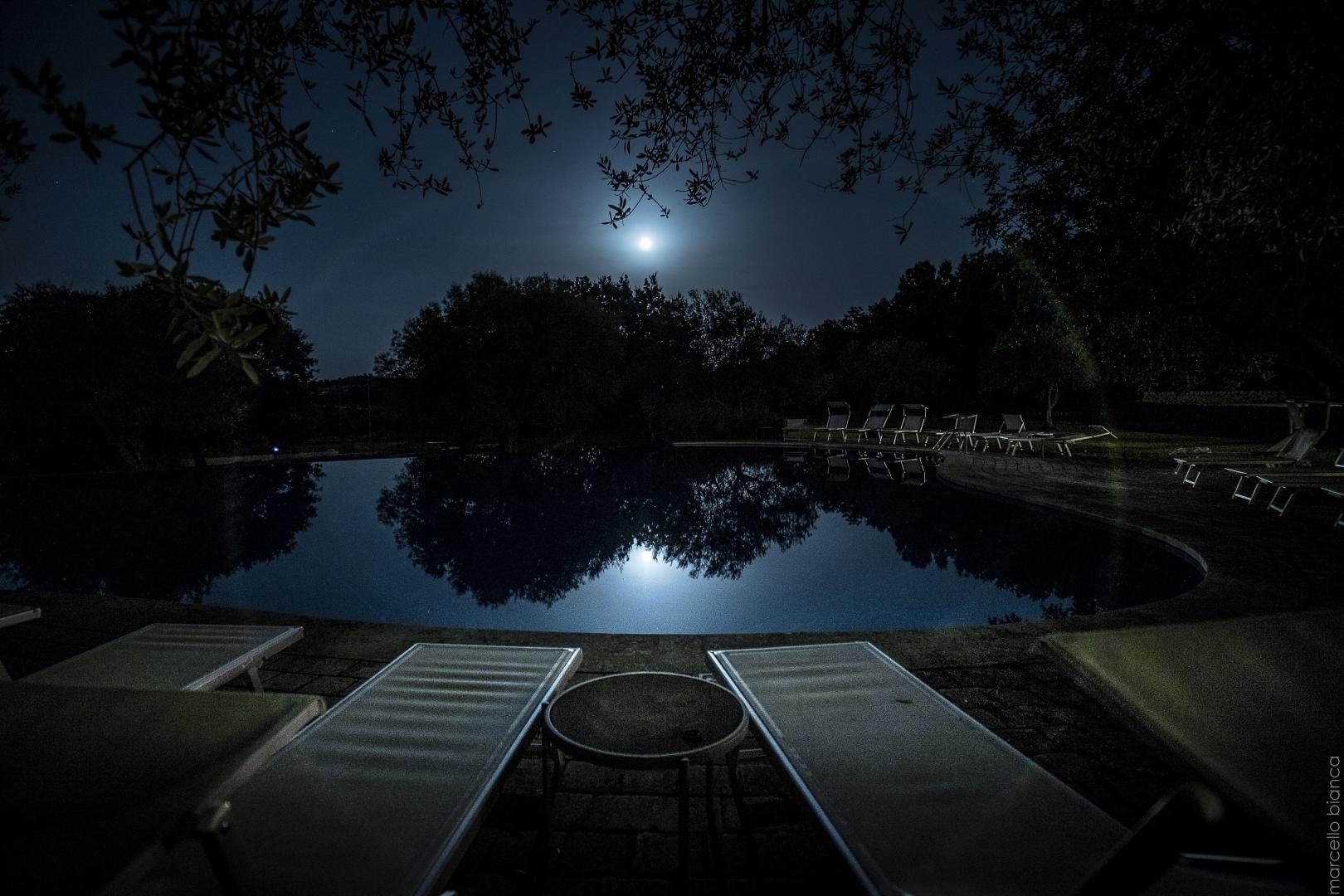 Masseria degli Ulivi foto 6