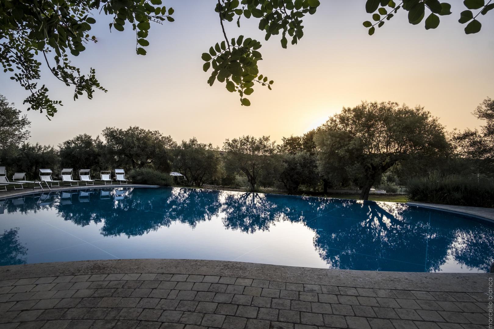 Masseria degli Ulivi foto 18