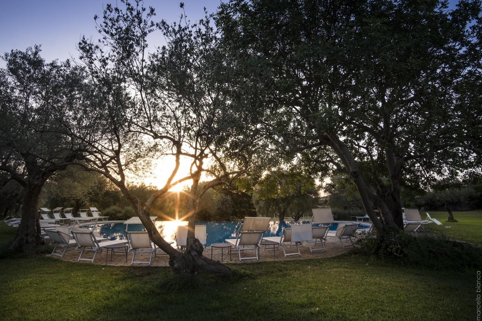 Masseria degli Ulivi foto 25