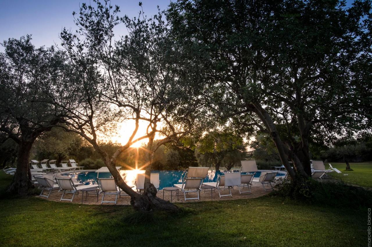 een groep stoelen en een zwembad met de ondergaande zon bij Masseria Degli Ulivi - Noto in Noto
